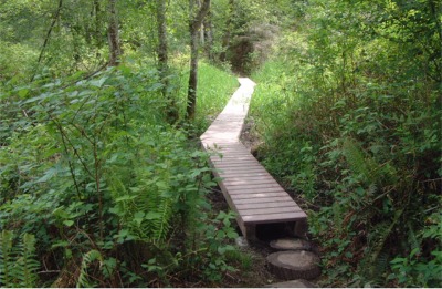 The Fox Island Nature Center