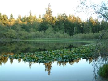 Crescent Lake Park