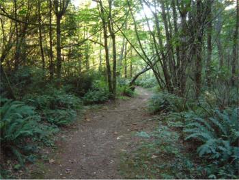 Crescent Lake Park