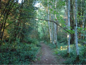 Crescent Lake Park