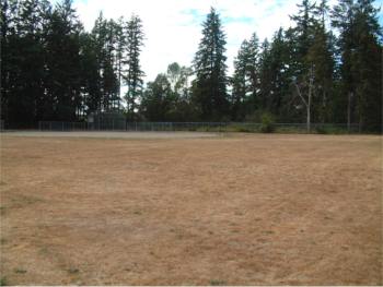 Rosedale Playfield & Tennis Courts